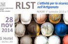 REPORT attività RLST – 28 nov 2014